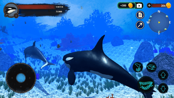 The Killer Whale