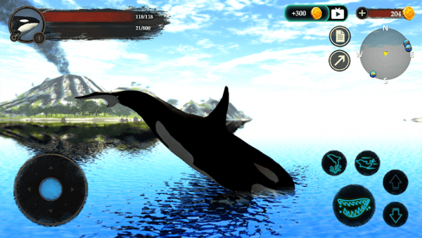 The Killer Whale