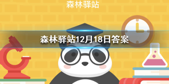 微博12月18日森林驿站今日答案，中国野外的长臂猿不会吃下面的哪种食物 